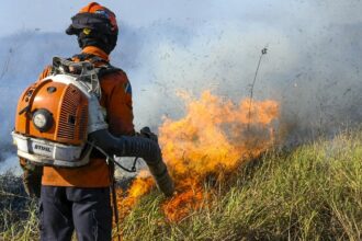 incendios-destroem-mais-de-4,5%-do-bioma-pantanal