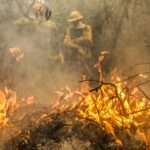 pantanal:-greve-dos-servidores-nao-vai-afetar-combate-aos-incendios,-diz-presidente do ibama