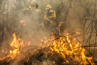 pantanal:-greve-dos-servidores-nao-vai-afetar-combate-aos-incendios,-diz-presidente do ibama