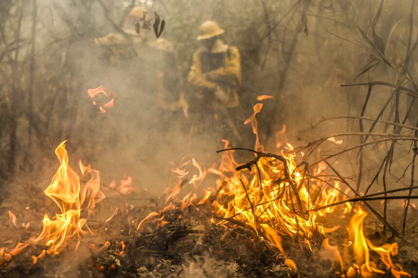 pantanal:-greve-dos-servidores-nao-vai-afetar-combate-aos-incendios,-diz-presidente do ibama