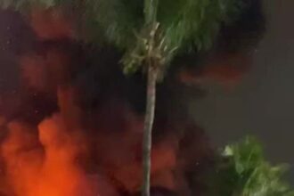 incendio-atinge-exposicao-da-warner-bros-no-shopping-nova-america;-veja-video