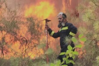 bombeiros-controlam-incendios-florestais-em-partes-da-turquia,-diz-ministro