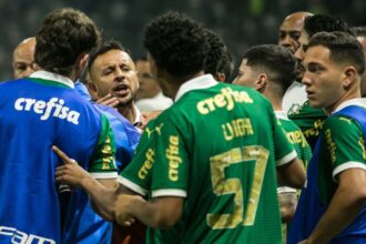 sao-paulo-denuncia-homofobia-de-torcedores-do-palmeiras;-veja-o-que-motivou-a-queixa