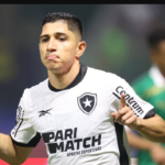 palmeiras-so-empata-com-o-botafogo-e-esta-fora-da-libertadores