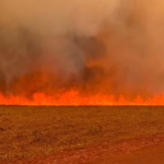 governo-de-sp-cria-gabinete-de-crise-para-combater-incendios-no-estado