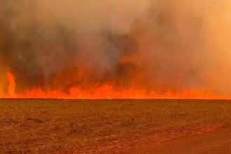 governo-de-sp-cria-gabinete-de-crise-para-combater-incendios-no-estado