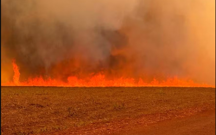 governo-de-sp-cria-gabinete-de-crise-para-combater-incendios-no-estado