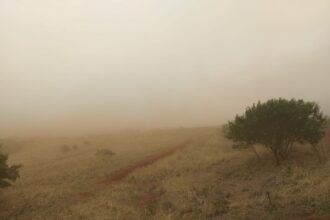 cidades-do-interior-de-sao-paulo-registram-tempestade-de-poeira-apos-incendios;-veja-videos