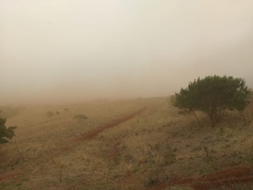 cidades-do-interior-de-sao-paulo-registram-tempestade-de-poeira-apos-incendios;-veja-videos