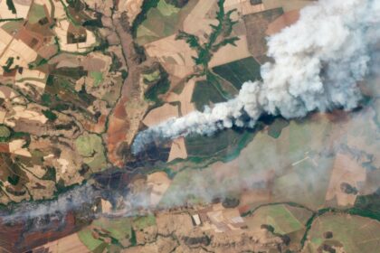 chega-a-sete-o-numero-de-presos-por-conta-de-incendios-no-interior-de-sao-paulo