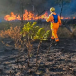 em-agosto,-24-pessoas-foram-presas-por-incendiar-vegetacao-em-minas-gerais