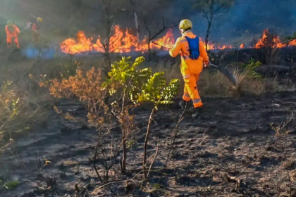 em-agosto,-24-pessoas-foram-presas-por-incendiar-vegetacao-em-minas-gerais