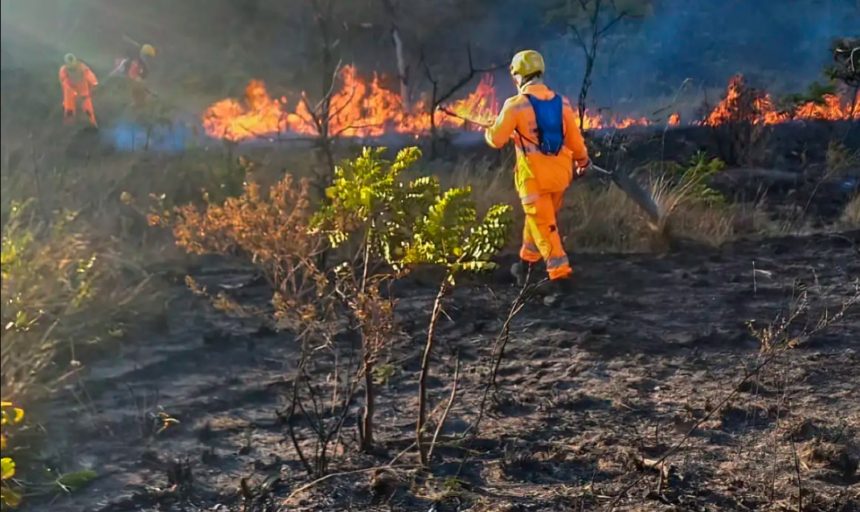 em-agosto,-24-pessoas-foram-presas-por-incendiar-vegetacao-em-minas-gerais