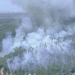 incendio-e-controlado-na-floresta-nacional-de-brasilia-apos-36-horas;-quase-40%-da-area-foi-queimada