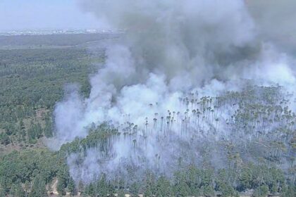 incendio-e-controlado-na-floresta-nacional-de-brasilia-apos-36-horas;-quase-40%-da-area-foi-queimada