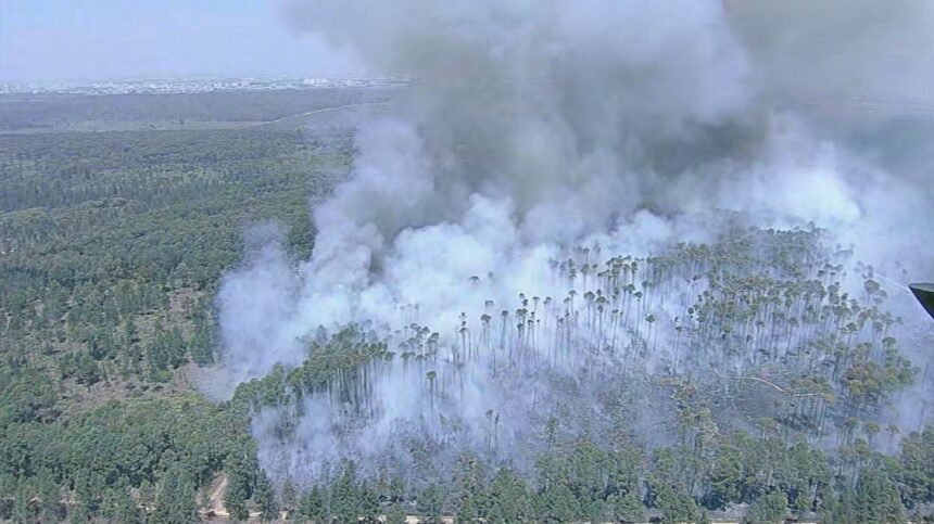 incendio-e-controlado-na-floresta-nacional-de-brasilia-apos-36-horas;-quase-40%-da-area-foi-queimada