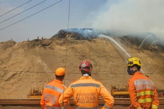 mg-registra-mais-de-350-ocorrencias-de-incendios-florestais-entre-sexta-e-sabado