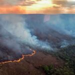 fogo-ja-consumiu-ao-menos-10-mil-hectares-do-parque-nacional-da-chapada-dos-veadeiros,-em-goias