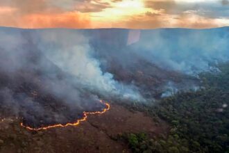 fogo-ja-consumiu-ao-menos-10-mil-hectares-do-parque-nacional-da-chapada-dos-veadeiros,-em-goias