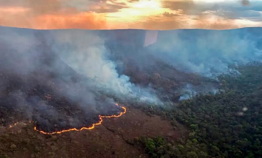 fogo-ja-consumiu-ao-menos-10-mil-hectares-do-parque-nacional-da-chapada-dos-veadeiros,-em-goias