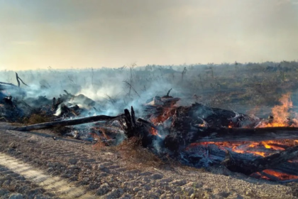 queimadas:-atendimentos-em-postos-de-saude-aumentam-ate-190%-em-areas-atingidas-por-fumaca