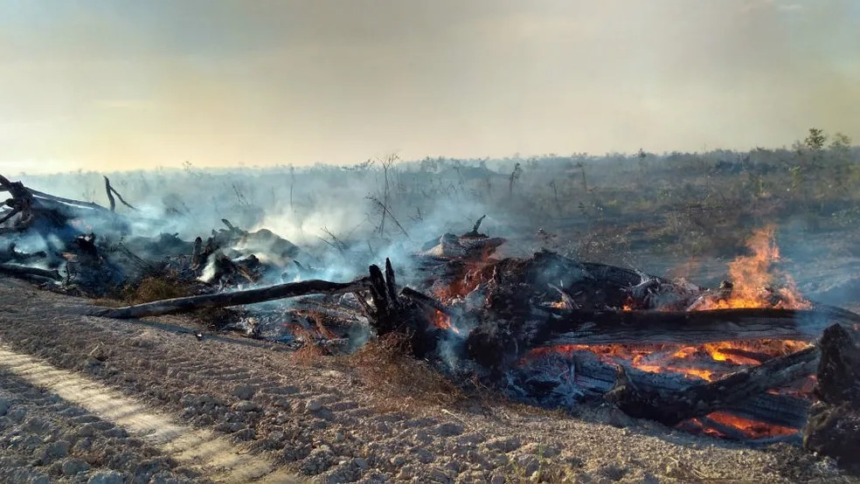 queimadas:-atendimentos-em-postos-de-saude-aumentam-ate-190%-em-areas-atingidas-por-fumaca