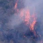 bombeiros-apagam-mais-de-330-focos-de-incendios-em-24h-no-rj