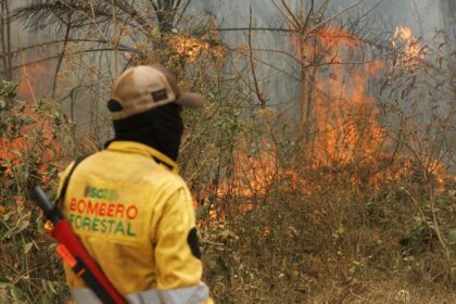 bolivia-esta-perto-de-quebrar-recorde-de-incendios-florestais