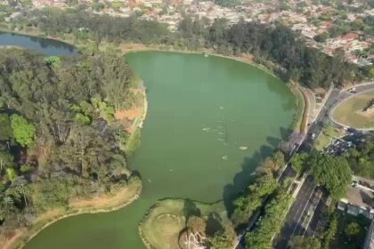 alta-temperatura-e-falta-de-chuvas-faz-agua-do-lago-do-parque-ibirapuera-ficar-verde