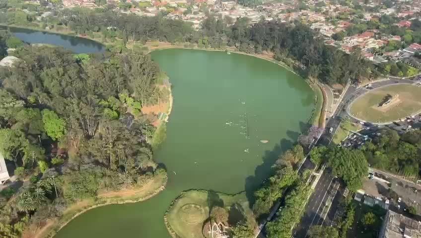 alta-temperatura-e-falta-de-chuvas-faz-agua-do-lago-do-parque-ibirapuera-ficar-verde