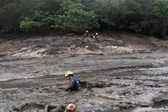 resgate-de-animais-atingidos-por-rompimento-de-barragem-em-mg-e-finalizado