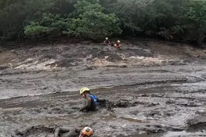 resgate-de-animais-atingidos-por-rompimento-de-barragem-em-mg-e-finalizado