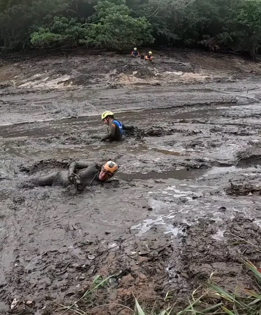 resgate-de-animais-atingidos-por-rompimento-de-barragem-em-mg-e-finalizado