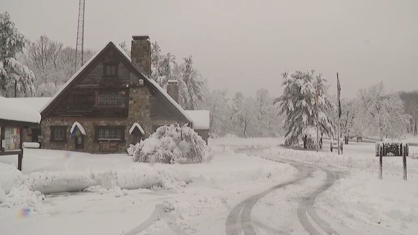 nova-york-registra-primeira-neve-da-estacao