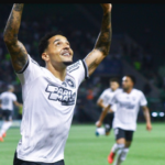 botafogo-vence-o-palmeiras-por-3-a-1-e-reassume-a-lideranca-do-brasileirao