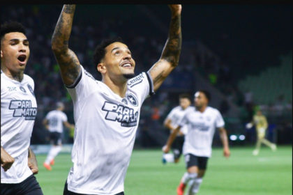 botafogo-vence-o-palmeiras-por-3-a-1-e-reassume-a-lideranca-do-brasileirao