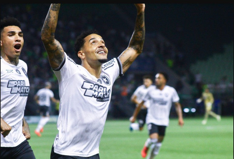 botafogo-vence-o-palmeiras-por-3-a-1-e-reassume-a-lideranca-do-brasileirao