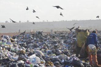 brasil-ainda-tem-31,9%-dos-municipios-utilizando-lixoes-como-destino-final-dos-residuos-solidos