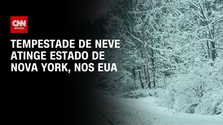 rara-tempestade-de-neve-atinge-regioes-do-norte-da-florida