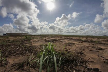 pernambuco-declara-situacao-de-emergencia-em-117-municipios-devido-a-falta-de-chuva