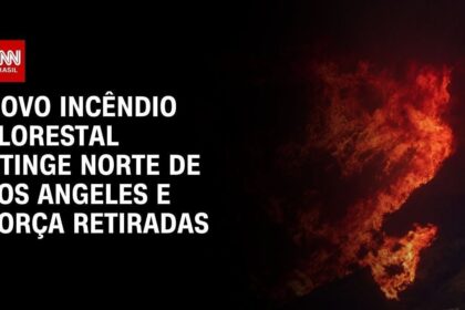 novo-incendio-florestal-queima-perto-do-bairro-de-bel-air,-em-los-angeles