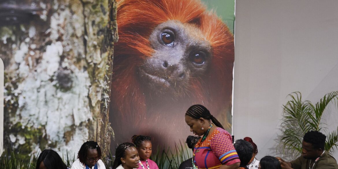 cop30:-financiamento,-transicao-e-adaptacao-sao-centro-das-negociacoes