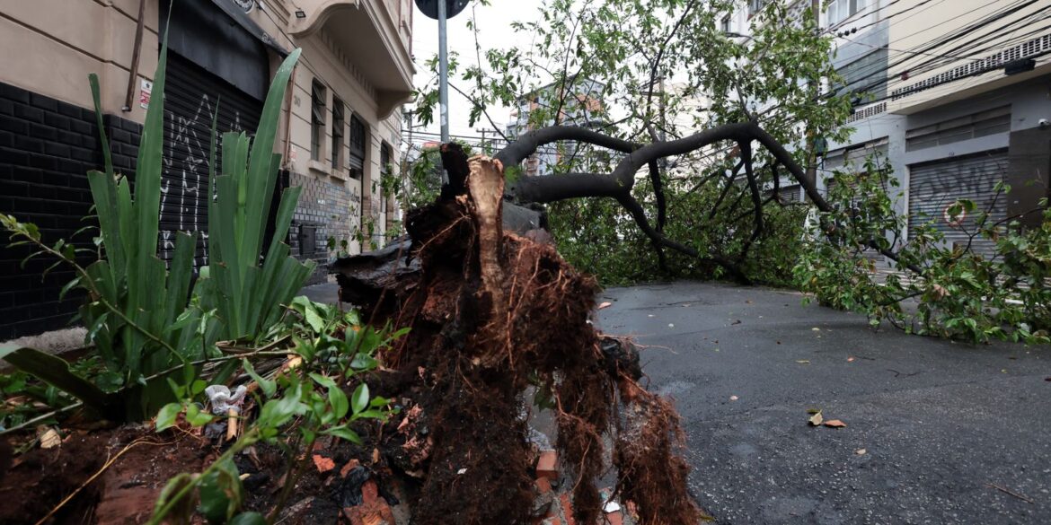 em-embu-guacu,-em-sp,-apagao-deixa-61%-dos-moradores-sem-luz